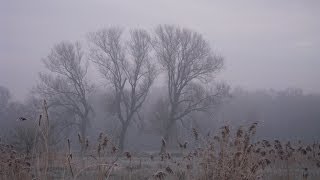 Ochtendmeditatie  10 minuten meditatie [upl. by Bernhard]