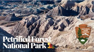 Petrified Forest National Park  Arizona 🏜️ Parque Nacional del Bosque Petrificado [upl. by Hiro]