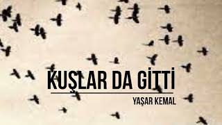 Kuşlar da Gitti  Yaşar Kemal  Sesli Kitap [upl. by Balf665]