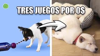 3 JUGUETES CASEROS para JUGAR con tu PERRO [upl. by Anastasio]