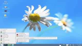 Tails OS 12  Overview Windows 8 Camouflage [upl. by Spevek173]