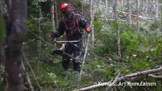 Rästitaimikkoa raivaamassa  Metsälehti [upl. by Sedaiuqlem]