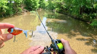 BFS Topwater Fishing Small Creek [upl. by Elocyn]