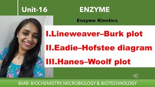 Linear plots  Lineweaver–Burk plot  Eadie–Hofstee diagram  Hanes–Woolf plot  Enzyme 16 [upl. by Nelrac]