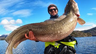 Påskefiske etter lange  Med Lightjigger og Fireball [upl. by Urania]