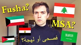 Learn Arabic Fusha  MSA or Dialect [upl. by Neened179]