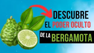 🌺 AROMATERAPIA BERGAMOTA 🌺 ¿¿Para qué sirve el ACEITE ESENCIAL de BERGAMOTA [upl. by Bello]