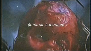 UICIDEBOY  UICIDAL HEPHERD  Lyric Video [upl. by Amliv]