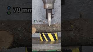 hydraulic press vs wood hydraulicpress presswood [upl. by Yole]