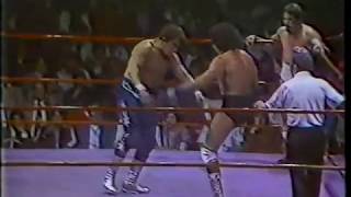 CMLL TV March 29th 1985 [upl. by Cimah508]