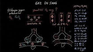 Gaz du sang  Partie 1  Docteur Synapse [upl. by Alletnahs635]