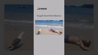 Oh My God😰Wait For End😳He made that Bird Laugh😳😂 viralcontent reels tiktok animals funny [upl. by Eeima935]