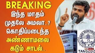 BREAKING  இந்த மாதம் முதலே அமலா கொதிப்படைந்த அண்ணாமலை  கடும் சாடல் [upl. by Oswell801]