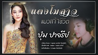 แตงโมสาวแมวเก้าชีวิต  บุ๋ม ปาจรีย์ official Audio [upl. by Akerahs5]