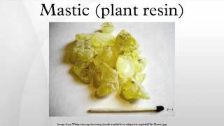 Mastic plant resin [upl. by Kala]