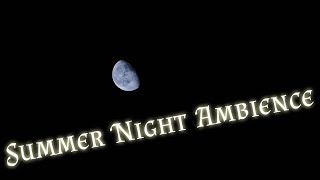 Night Ambient Sounds Cricket Sounds at Night Sleep and Relaxation Meditation Sounds [upl. by Cami]