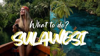 SULAWESI  What to do  Travel Vlog [upl. by Eralc]