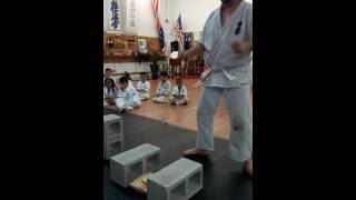 Us Kyokushin Karate Miami Fl [upl. by Evannia]