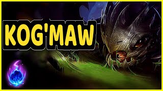 KOGMAW MID HIGHLIGHTS [upl. by Tecla115]