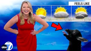 Best News Bloopers July 2023 [upl. by Asenej36]