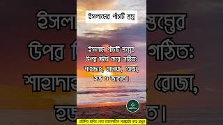 ইসলামের পাঁচটি স্তম্ভ  islamic life quotesshorts islam islamic hadees HadithLite [upl. by Eenoj670]