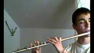 Dvorak  Slavonic Dance no 2 op 72  flute [upl. by Imeon]