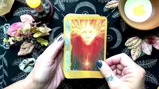 quotThe Faeries Oraclequot by Brain Froud  Deck Walkthrough [upl. by Weber]