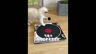 😾⚽Cat toy Cat Scratch Board Modern Cat Scratcher  Gramophone Style！ [upl. by Zeuqirdor]