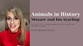 Animals in History  Mozart and his starling [upl. by Narah]