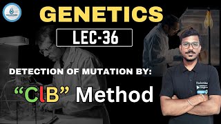 DETECTION OF MUTATION BY ClB Method  genetics36 [upl. by Perot838]