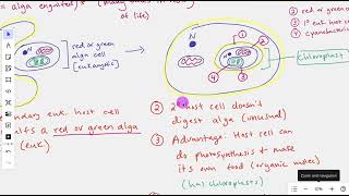 Secondary Endosymbiosis The Process [upl. by Harty]