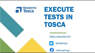 Tosca Tutorial  Lesson 59  Execute Test Cases  Execution Lists  Test Results  Execution Entry [upl. by Gunzburg798]