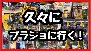 【ブラショ】久しぶりにガッツリブラショしたのでその様子と購入品紹介！ [upl. by Roht]