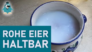 Eier haltbar machen  eigene Eier auch im Winter essen DIY Koch Selbermachen ohne Strom [upl. by Fruin]