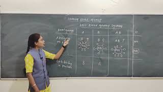 Human Blood Groups and Its Compatibility [upl. by Ziul814]