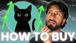 HOW TO BUY NACHO THE KAT KRC20 MEME COIN TO 1000X [upl. by Eiuqcaj]