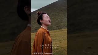 ཕ་ཡུལ་ཞིང་ཁམས་འདྲ།Tibetan song shorts tibetannewsong shortmusic shortsvide tibet tibetanvlog [upl. by Sholom]