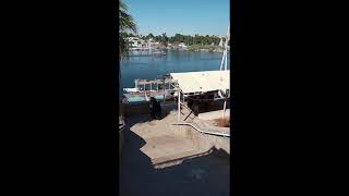 Taking public ferry to Elephantine Island Aswan [upl. by Curcio]