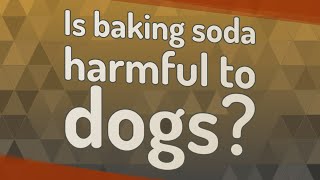 Is baking soda harmful to dogs [upl. by Offen395]