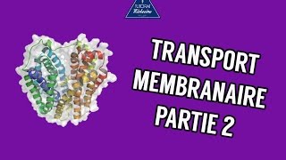 Transports membranaire  Partie 2 [upl. by Esinereb]