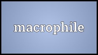 Macrophile Meaning [upl. by Yecart55]