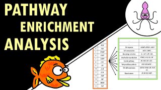 Pathway enrichment analysis  simple explanation [upl. by Sue]