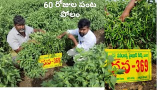 navadhanya seeds dhana3699912428388op varietyagriculture farming [upl. by Talbot301]