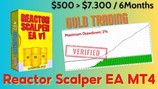 Reactor Scalper EA MT4 Setting and Review  FX STORE EA [upl. by Vivyan]