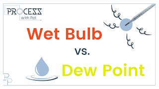 Wet Bulb vs Dew Point Temperature [upl. by Rehoptsirhc356]