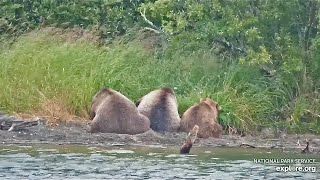 910 Napping Butts exploreorg KRV cam [upl. by Hteboj225]