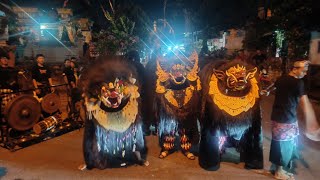 Cemagi Bergetar Mepetuk Barong Bangkung Wanara X Bawi Ireng X Widya Swara [upl. by Carolann402]