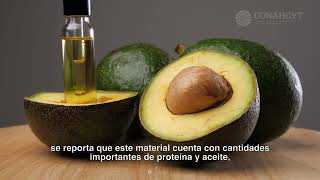 El aguacate su aceite y sus subproductos [upl. by Nnarual]