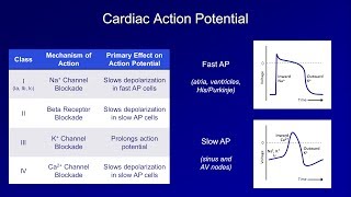 Antiarrhythmics Lesson 1  An Introduction [upl. by Paul]