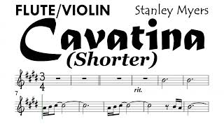 Cavatina Flute Violin Shorter Sheet Music Backing Track Partitura Stanley Myers [upl. by Nulubez451]